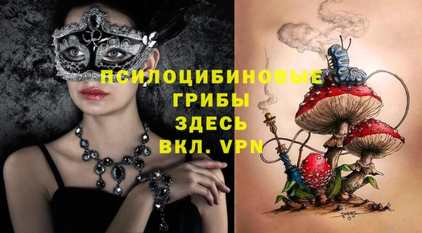 экстази Арсеньев