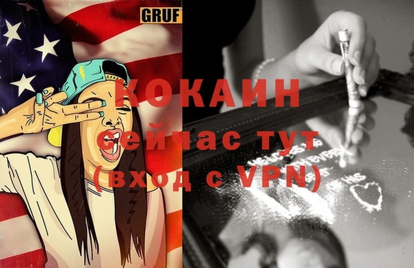 шишки Приозерск