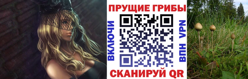 где купить наркотик  Сосновоборск  Псилоцибиновые грибы ЛСД 